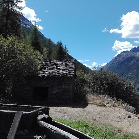 Case Gran Paradiso Rhemes Saint Georges ภายนอก รูปภาพ