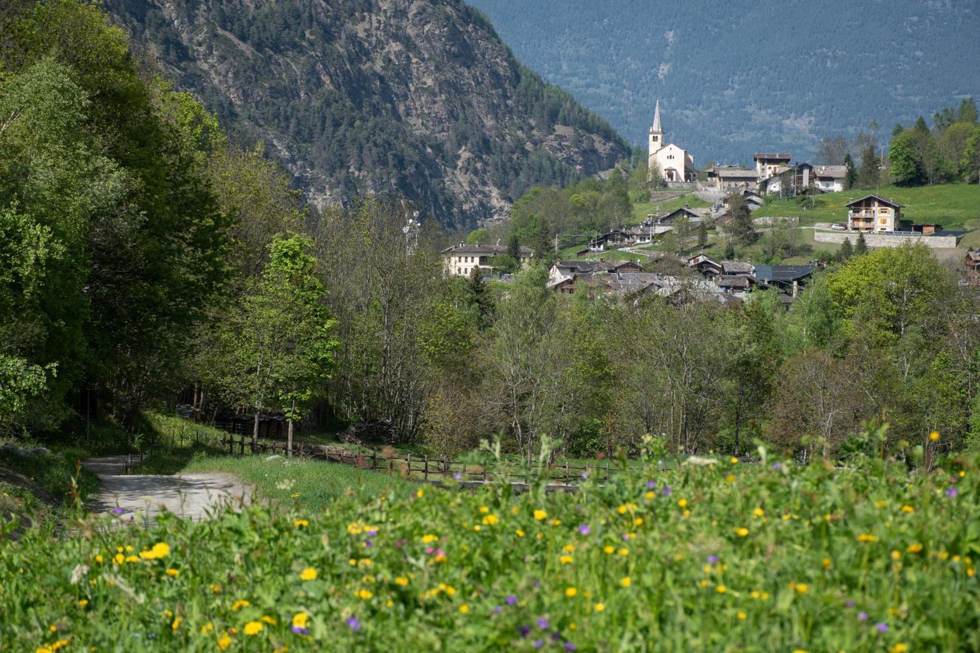 Case Gran Paradiso Rhemes Saint Georges ภายนอก รูปภาพ